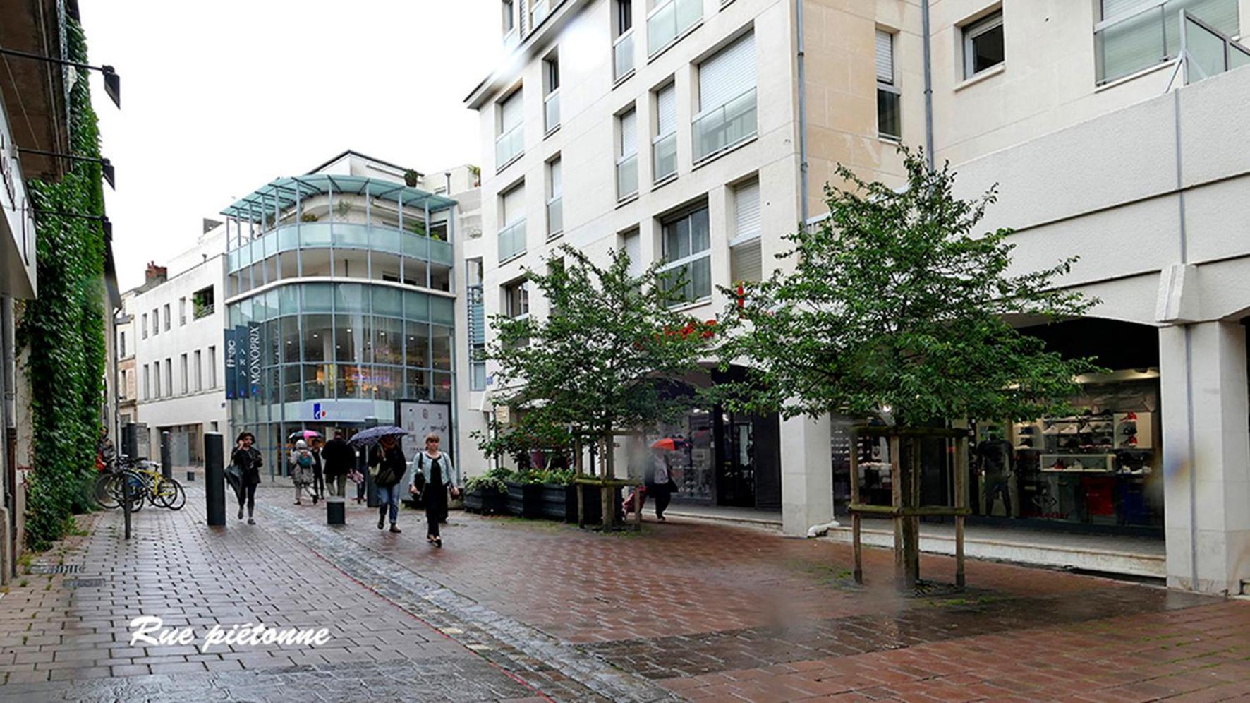 Ferienwohnung Les Jardins Du Clain Poitiers Exterior foto